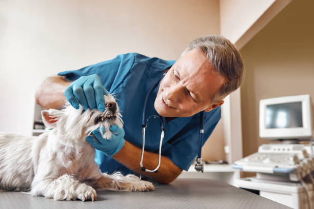 Best Cracked Tooth Emergency Dentist  in Sea Girt, NJ